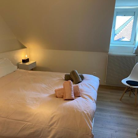 Les Moulins Tres Agreable Et Idealement Situe Colmar Exterior foto