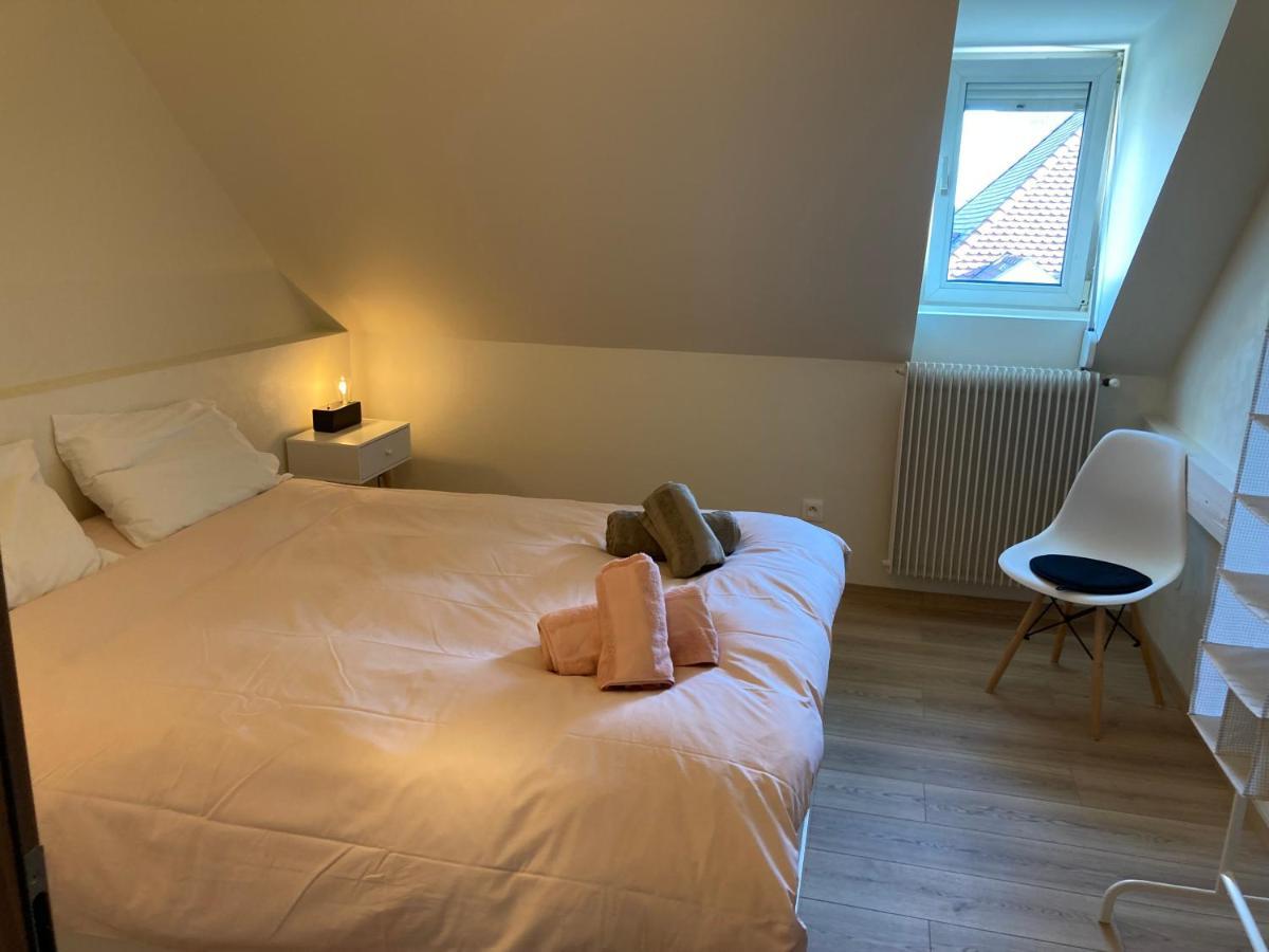 Les Moulins Tres Agreable Et Idealement Situe Colmar Exterior foto