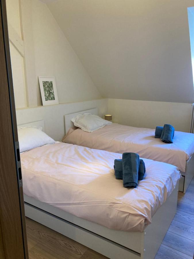 Les Moulins Tres Agreable Et Idealement Situe Colmar Exterior foto