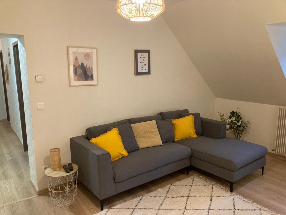 Les Moulins Tres Agreable Et Idealement Situe Colmar Exterior foto